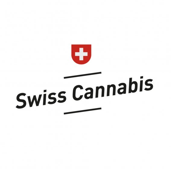 CBD Öl 10% Swiss Cannabis